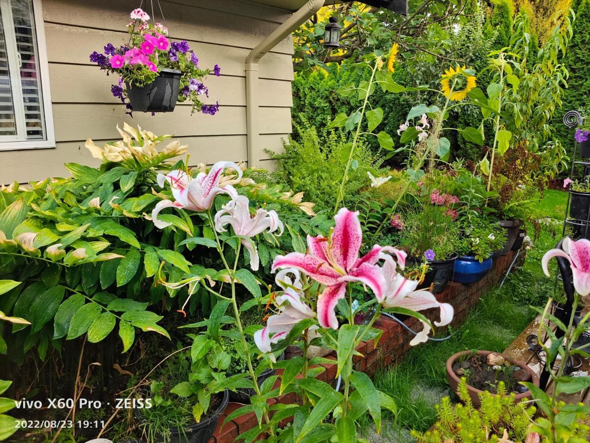 Romantic Homestay Coquitlam Værelse billede