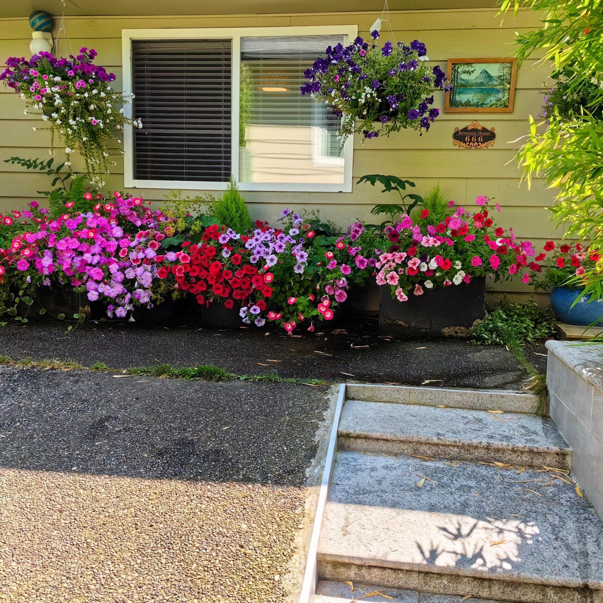 Romantic Homestay Coquitlam Eksteriør billede